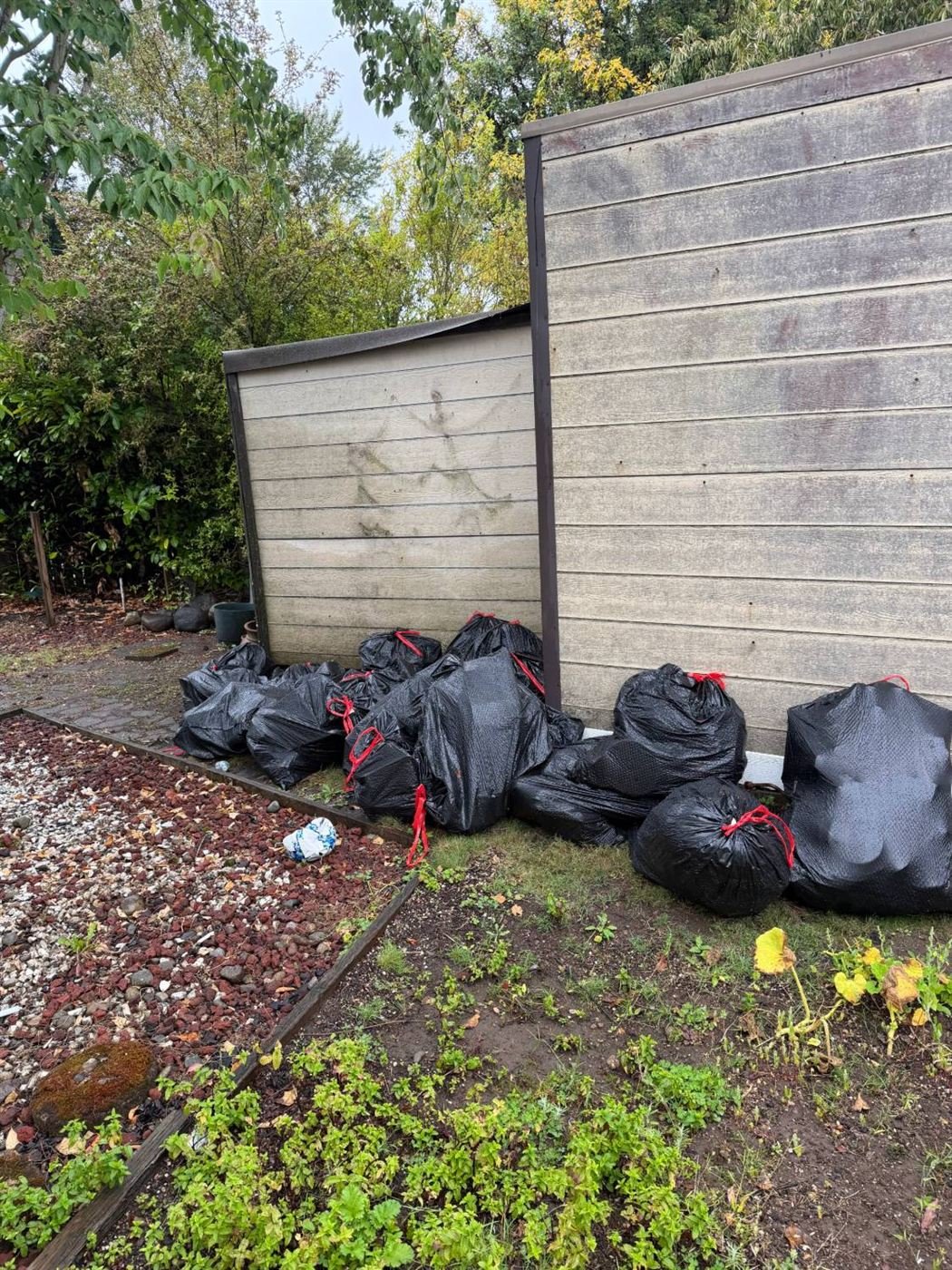 Bagged yard debris ready for pickup in Bellevue